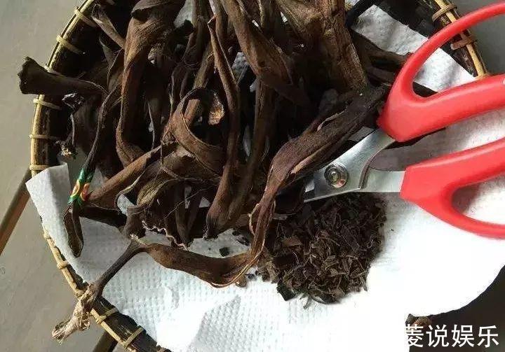 土壤|4种垃圾不会分类别担心，埋在花盆底，叶子绿得直滴油！