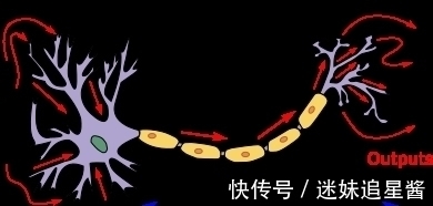 神经|英特尔发新神经形态芯片,31mm2容纳100万人工神经元