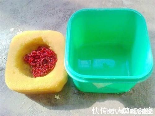 钓鱼:有人捏红虫,手掌瘙痒,喝了一个月的草药,有人一点没事!