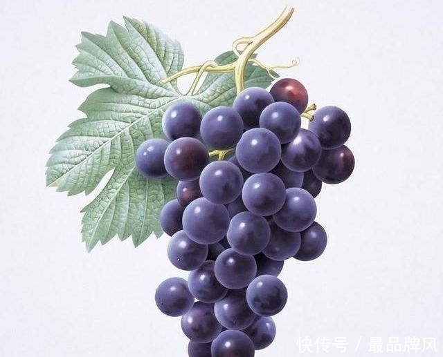 护肤|女生都应该知道的10条不花钱护肤小技巧,条条都是经典!