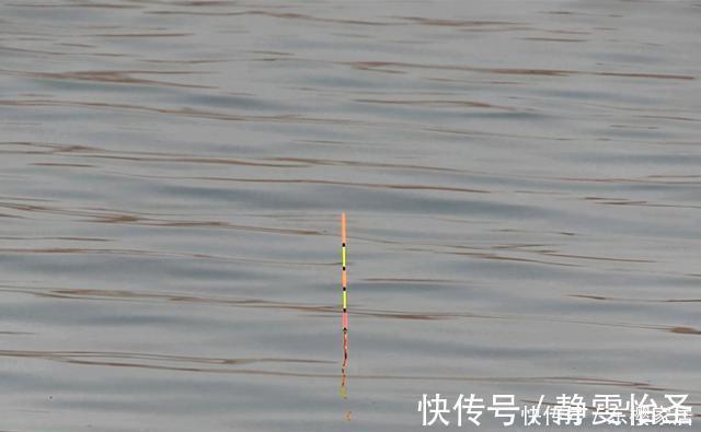 野钓鲫鱼，夏秋季节抓顶漂，冬季多抓顿口，这是为什么呢？
