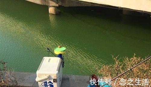 鲫鱼|冬季钓大鲫鱼,这五种钓位藏鱼多,遇上了别错过,连竿上鱼很轻松