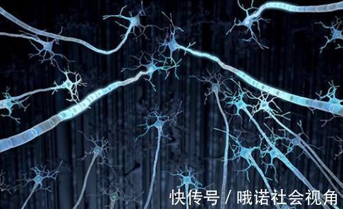 碳六烯酸|大脑最爱的食物,核桃只能排第4,第1名最常见却谁也想不到!