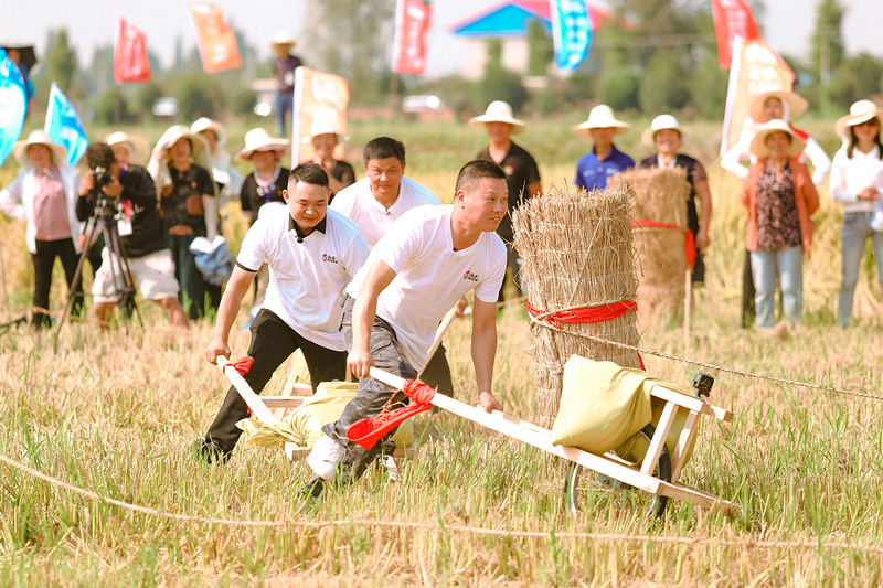 袁隆平&湖南卫视十一特别节目《稻花香里说丰年》，用创新致敬袁隆平