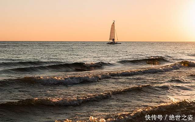 阻止|《侯大利刑侦笔记4》:谁也无法阻止我寻求真相