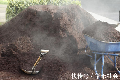 养好花离不开好的土壤,8种适合家庭养花的土壤,养花爆盆