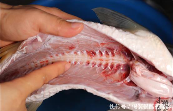 摘除“鱼腥线”就是大错?这4个才是腥味来源,可惜懂的人太少了