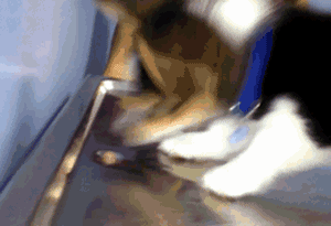 |搞笑动图:小兄弟:不要悲伤,人生的路还很长啊!