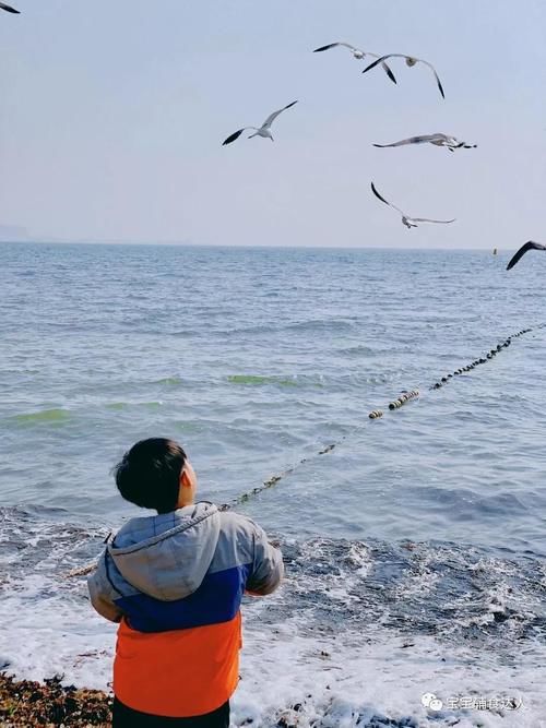 我打赌，吃过一次就忘不掉！让孩子营养足、长得快