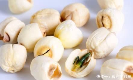 女贞子|李时珍称它为“天然安眠药”, 睡前吃一点, 让你睡得比猪还香