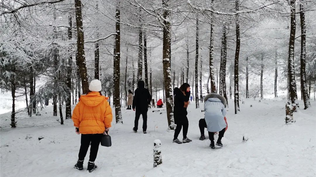 泥巴山解锁“雪景模式”！游客直呼过瘾！