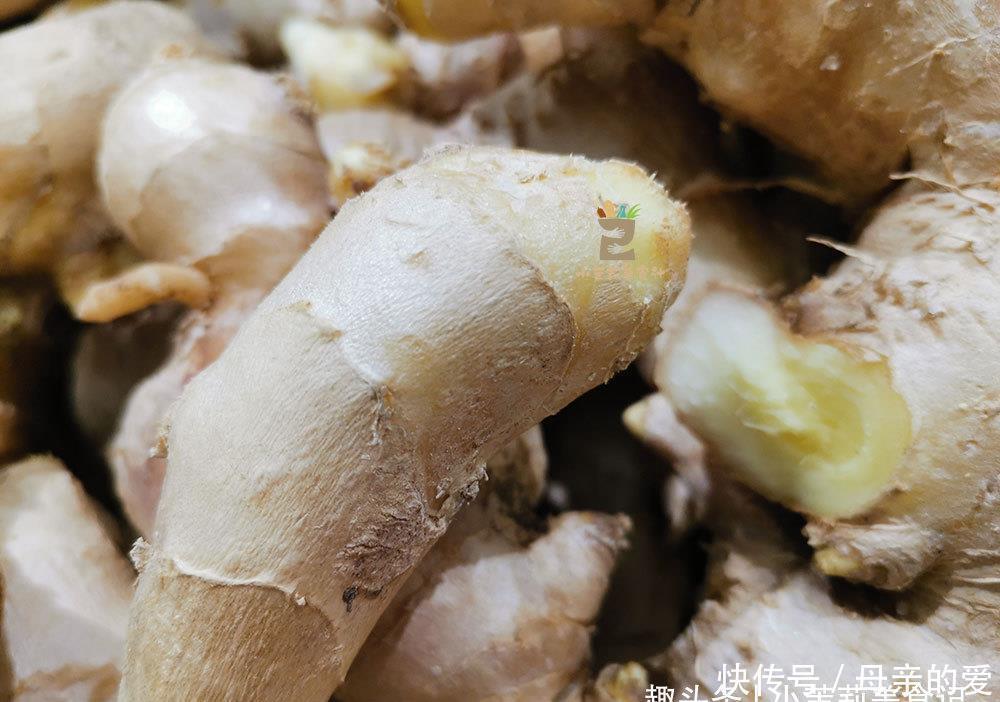新鲜味|生姜放久了容易干瘪长芽,教你4个保存方法,放一冬都新鲜味足