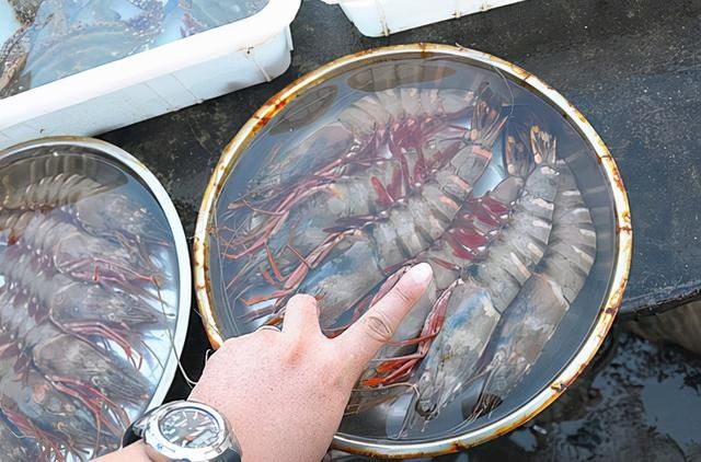 含“寄生虫”最多的3种海鲜,没营养还贵,老板自己从不吃