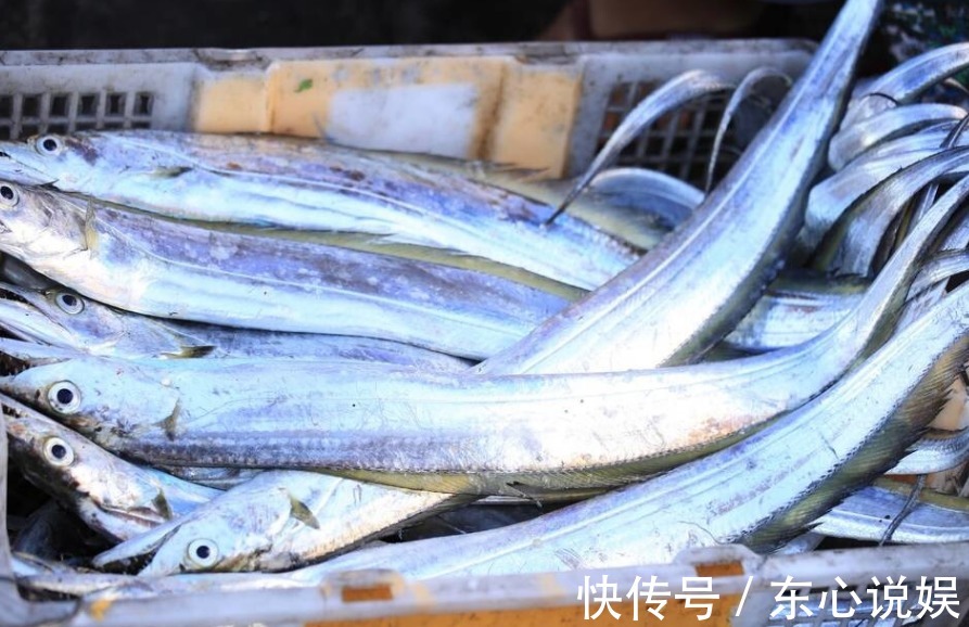 黄眼圈|买带鱼,白眼圈和黄眼圈哪个更好吃大小该怎么选知道后别买错