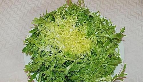 心脑血管|会吃的人最长寿,常食4种食物,保护血管,健脾养胃,预防妇科病