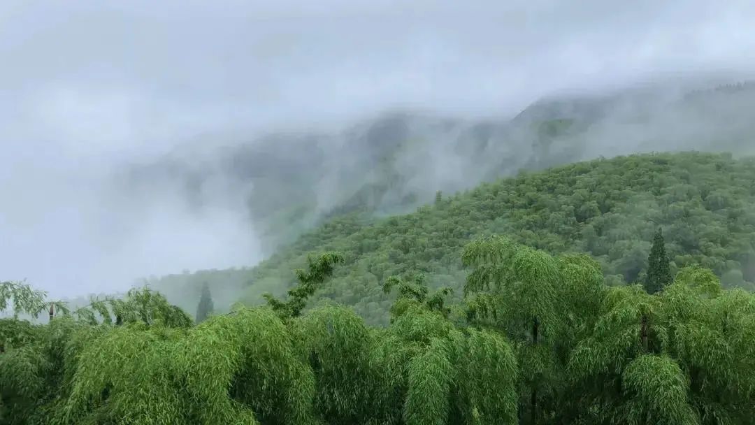 线路|登山好时节！余杭鸬鸟这些登山线路风景超美，赶快安排！