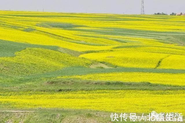 生肖|恭喜，飞来一笔大横财，4生肖天上掉财、地上生金，喜从千里来