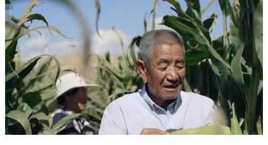 《梦想改造家》翻车了！花光老人积蓄132万，却盖了栋红砖毛坯房