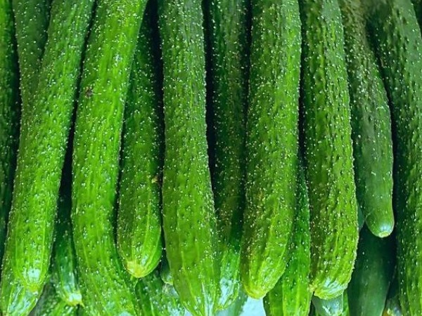 亚硝酸盐|一根黄瓜，一家四口全住院，吃黄瓜必须避开的4个禁忌！