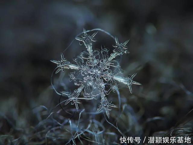 他用8个冬天拍下雪花的样子，每一朵都如此惊艳！