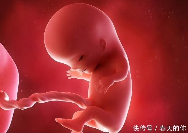 怀孕4个月,胎儿发育情况要了解,饮食指南也