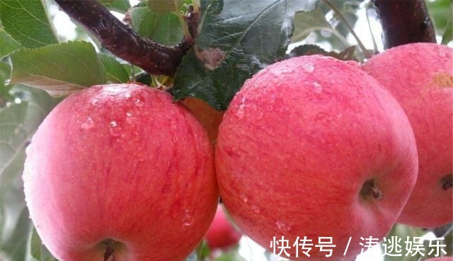 早餐|气血不足,女人衰老快,晨起吃1物,补充气血,脸上雀斑少!