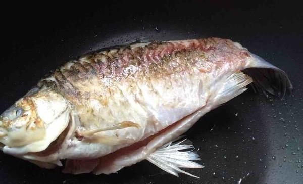 流行|现在流行吃鱼有几种危害的鱼早该禁止了,现在还有人经常吃