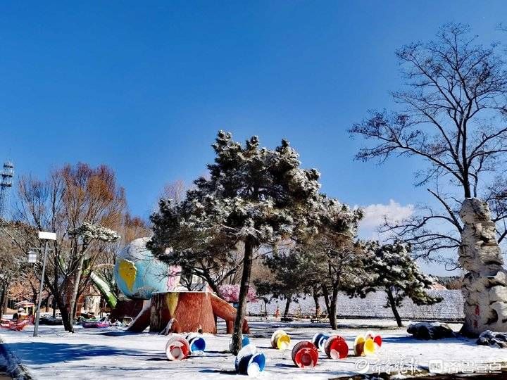 跑马岭|济南南山跑马岭迎来今冬第二场降雪！齐鲁雪乡美似童话