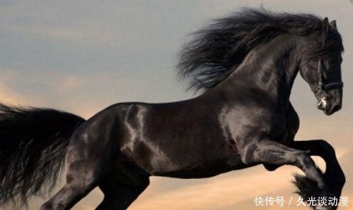 史上八大名马排行,它们都是谁的坐骑,乌骓马排第三,第一无法超越