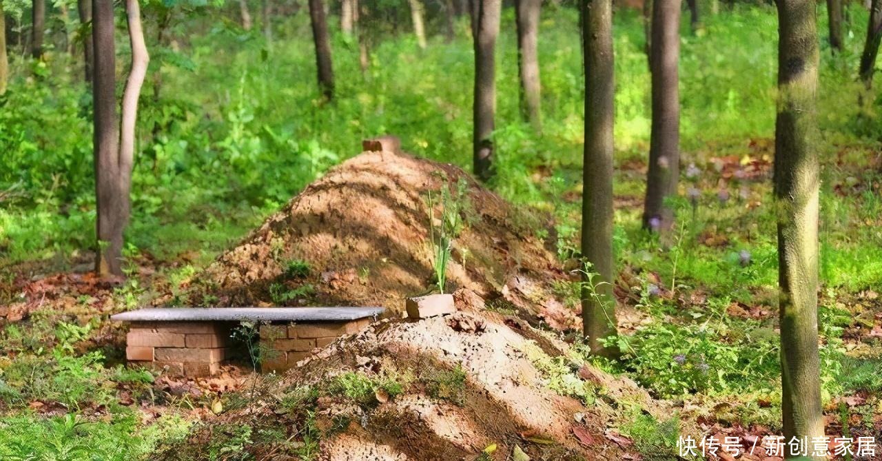 尊重|北大教授恢复土葬!心中没有尊重,火葬还是土葬都只是形式