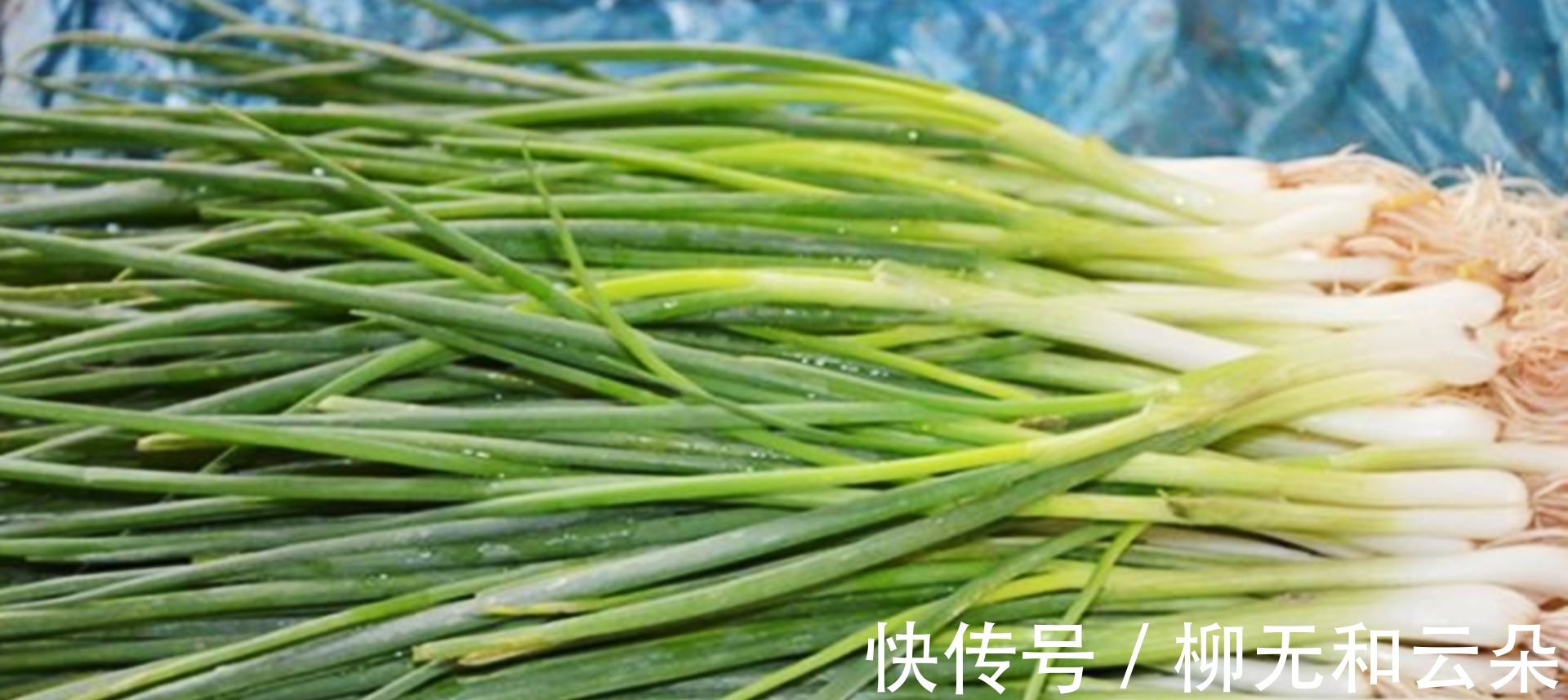 才知道，这种小葱千万不要吃，多亏老妈提醒我，看完别再买了！