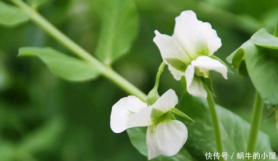 人到晚年，为什么朋友越来越少？除了身体因素外，还与三点有关