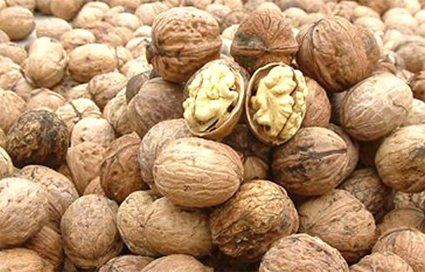 周医师|核桃被称“万岁子”“长寿果”,教你3种最营养吃法,治病保长寿