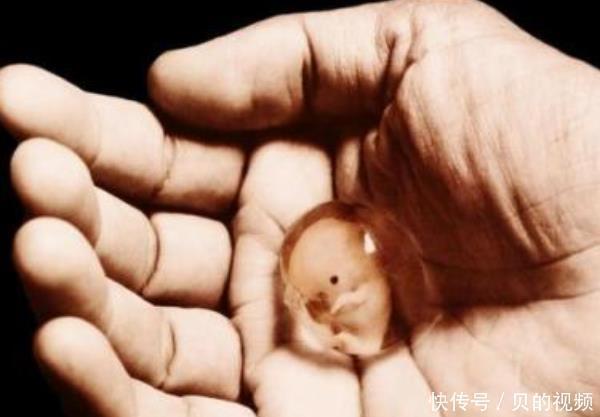 怀孕期间|怀孕后,为何有人一直吐,有人却从不吐医生和腹中胎儿有关