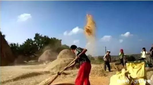 满满的|二十多年前收麦子的老照片,满满的丰收喜悦