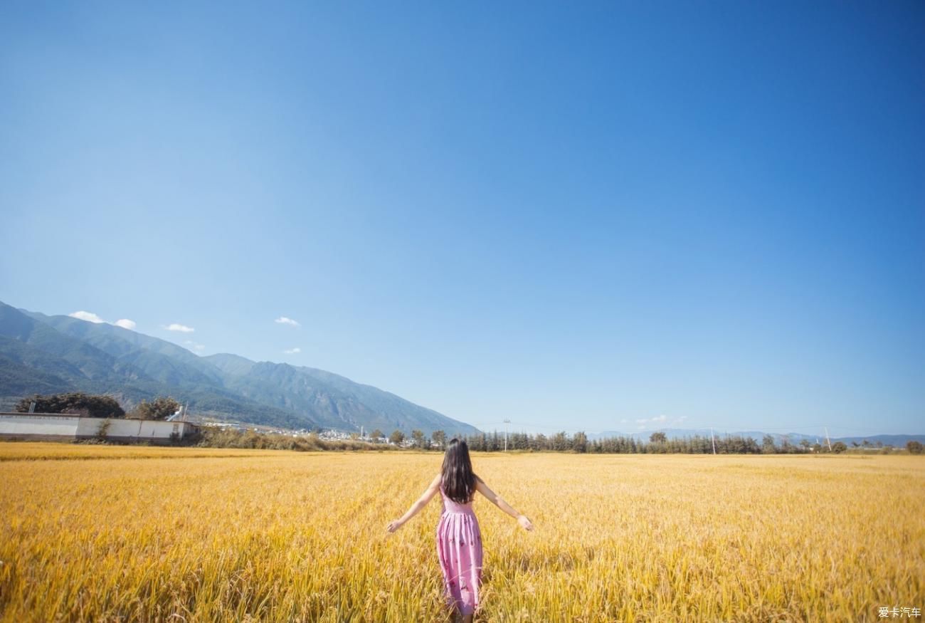 再见洱海，最美的记忆给了挖色。