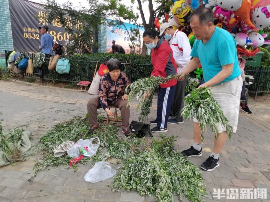 端午|端午到，艾草香