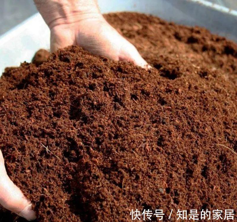 养花要用好土真能事半功倍,自己配的营养土,能让植物快速生长