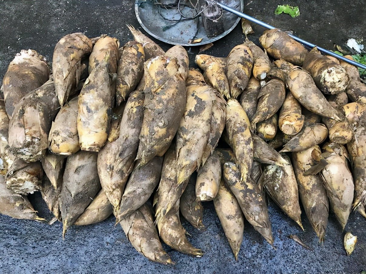 这些土货有点小贵，甜香粉糯，多吃长个不长肉，为了孩子值得买