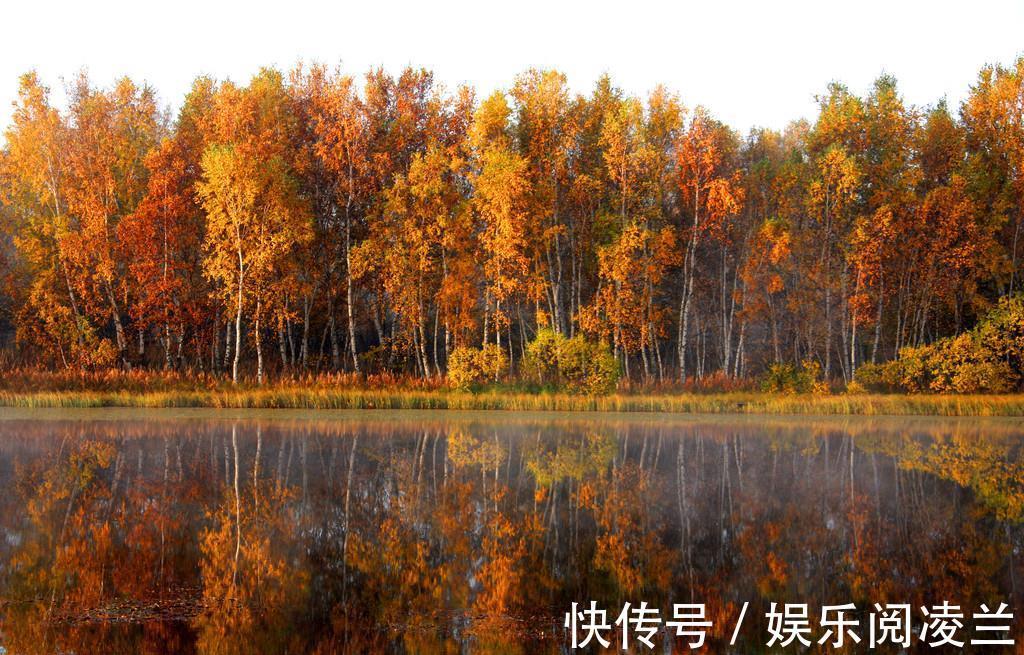 景象&十句秋诗:不叹愁绪,只言秋好!