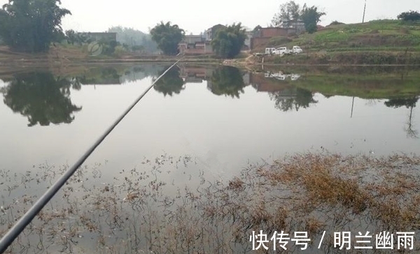 冬季钓鲫鱼,打窝不见发窝?那是不会打窝,这样打窝聚鱼效果翻倍