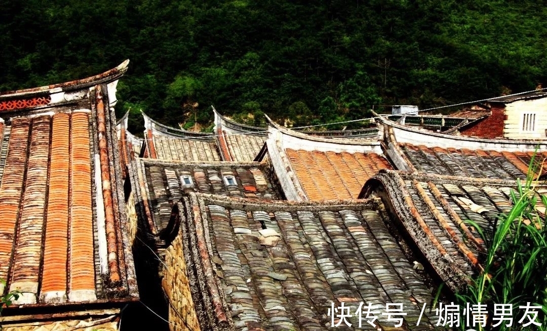 石狗@到南安!到九溪!到那“石狗蛋”的山中世界!