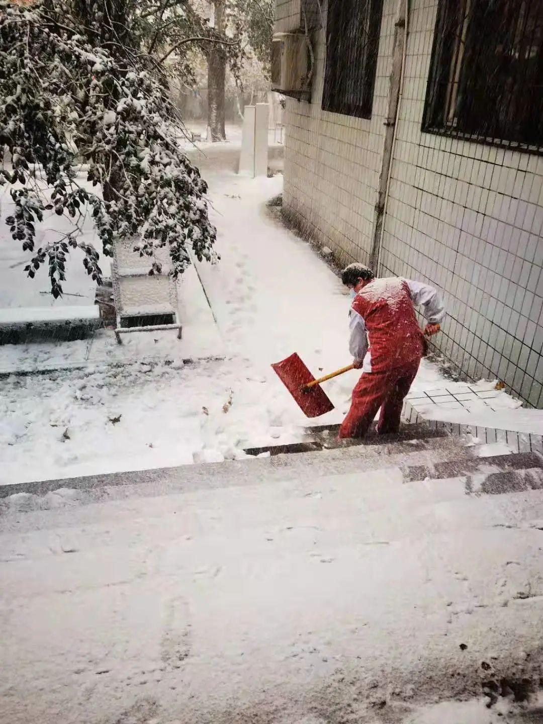 附属省立医院|不畏严寒除积雪 山东第一医科大学附属省立医院（山东省立医院）全力以赴确保就诊患者安全