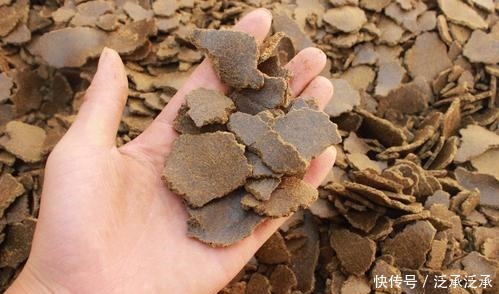 效果|菜籽饼打窝没鱼口加上这些,钓鲫、钓鲤都可以