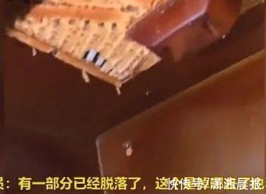 外卖|在厕所处理食材，执法人员怒问无良商家：这样的炸鸡你吃吗？