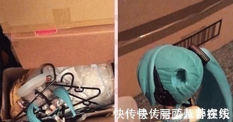 男子|豪华手办被熊孩子捏碎,要赔偿被家长怒怼:一块塑料讹我400万