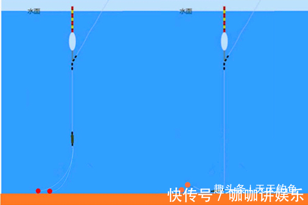 鲤鱼这样钓才够狠,这些秘诀是连竿上鱼的关键,夏天不用就亏了!