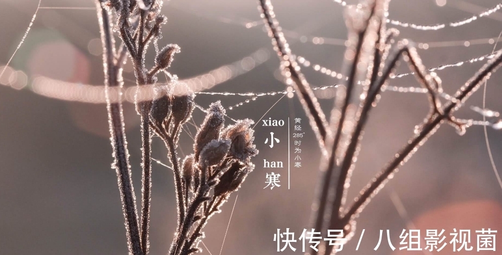 梅花饺!小寒时节,让我们一起走进诗词,感受属于“小寒”的那份韵味。