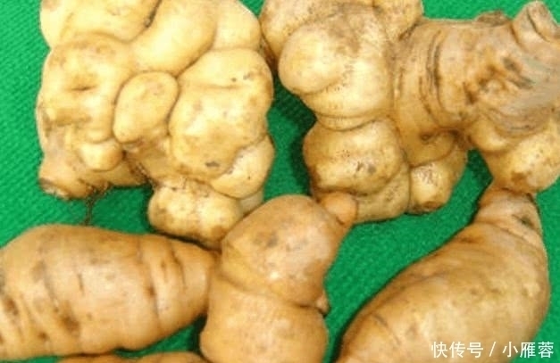 生长在农村路边的一种野草,被称为是“补益药”,知道是啥野草吗