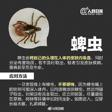 秋游|秋游当心昆虫过敏！严重过敏反应甚至危及生命